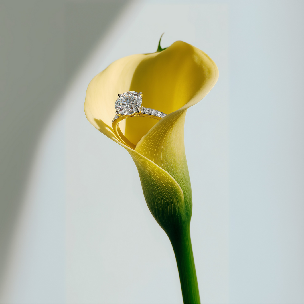 Lab-Grown vs. Natural Diamonds — What You Really Need to Know